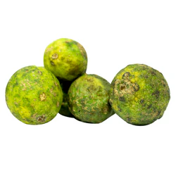 Citron vert kasaii - 6 pièces